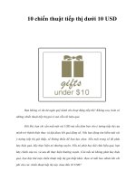 Tài liệu 10 chiến thuật tiếp thị dưới 10 USD pdf