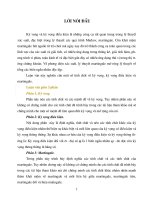 Lý thuyết về kỳ vọng, kỳ vọng điều kiện và martingale 