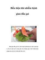 Tài liệu Biểu hiện khi nhiễm bệnh giun đầu gai docx