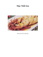 Tài liệu Mực Nhồi Sen pdf