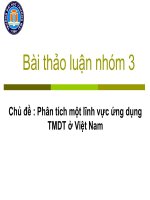 Phân tích một lĩnh vực ứng dụng TMDT ở việt nam 