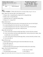 Gián án ĐỀ THI 1 TIN 9 KỲ I