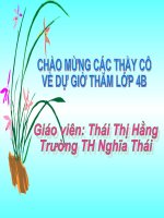 Tài liệu My fri ends(B1-2-3)