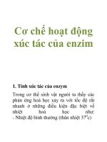 Tài liệu Cơ chế hoạt động xúc tác của enzym ppt
