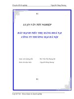 Tài liệu Luận văn tốt nghiệp 