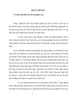  Đề tài đặc điểm và thực trạng sản xuất nông nghiệp miền Bắc Viêt Nam