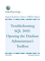 Tài liệu Troubleshooting SQL 2005: Opening the Database Administrator’s Toolbox doc