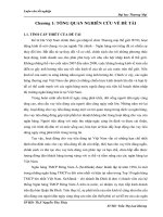 318 cho vay tiêu dùng tại ngân hàng TMCP đông nam á   chi nhánh ba đình 