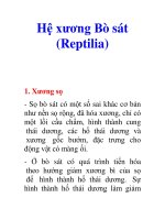 Tài liệu Hệ xương Bò sát (Reptilia) docx