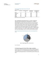 Tài liệu Nothing But Net 2009 Internet Investment Guide 6 ppt
