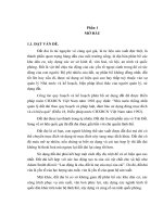 Tài liệu Qui hoạch đất đai ở Vĩnh Phúc từ 2010-2020 doc