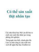 Tài liệu Có thể sản xuất thịt nhân tạo ppt