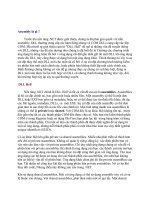 Tài liệu Assembly part 1 doc