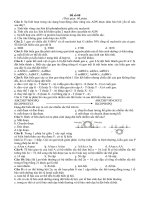 Gián án Đề thi thử số 08