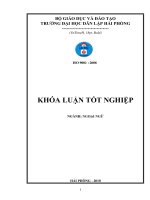 A COMPARITIVE STUDY ON INTERNET SLANGS USED IN ENGLISH AND VIETNAMESE 