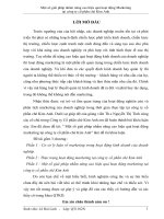 Một số giải pháp nhằm nâng cao hiệu quả hoạt động marketing tại công ty cổ phần chè kim anh 