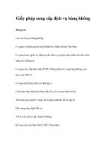 Tài liệu Giấy phép cung cấp dịch vụ hàng không doc