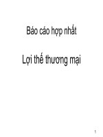 Tài liệu Báo cáo hợp nhất Lợi thế thương mại doc