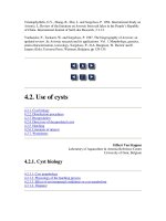 Tài liệu Manual on the Production and Use of Live Food for Aquaculture - Phần 5 docx