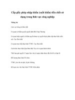 Tài liệu Cấp giấy phép nhập khẩu (xuất khẩu) tiền chất sử dụng trong lĩnh vực công nghiệp doc