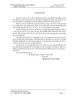 Thiết kế cầu qua sông triều dương   huyện thái bình 