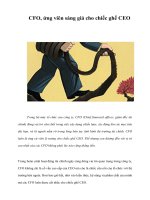 Tài liệu CFO, ứng viên sáng giá cho chiếc ghế CEO pdf