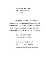 Côn trùng ký sinh sâu khoang spodoptera litura fabricius trên sinh quần ruộng lạc và một số đặc điểm sinh học của euplectrus xanthocephalus girault ở huyện nghi lộc, vụ xuân 2011 luận văn tốt nghiệp đại học 