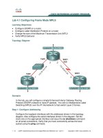 Tài liệu Configuring Frame Mode MPLS doc