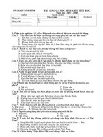 Bài giảng đề thi tiểu học chọn hsg