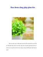 Tài liệu Rau thơm cũng giúp giảm béo ppt