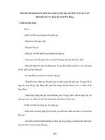 Tài liệu Bán đấu giá hàng dự trữ quốc gia ppt