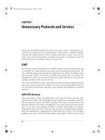Tài liệu Unnecessary Protocols and Services pdf