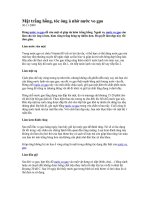 Tài liệu Mặt trắng hồng tóc óng ả nhờ nước vo gạo pptx