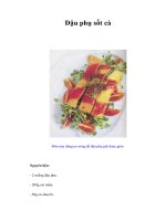 Tài liệu Đậu phụ sốt cà doc