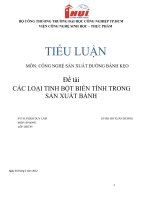 Các loại tinh bột biến tính trong sản xuất bánh 