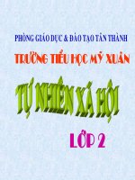 Bài soạn Bài; Cây sống ở đâu?