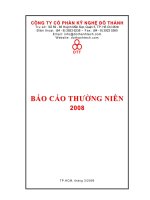 Tài liệu BÁO CÁO THƯỜNG NIÊN 2008 CÔNG TY CỔ PHẦN KỸ NGHỆ ĐÔ THÀNH pptx