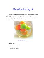 Tài liệu Dưa tẩm hương lài ppt