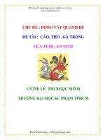 Tài liệu CHỦ ĐỀ : ĐỘNG VẬT QUANH BÉ - ĐỀ TÀI : CÁO, THỎ , GÀ TRỐNG - LỨA TUỔI : 4-5 TUỔI docx