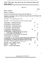 Bài soạn SKKN rất hay