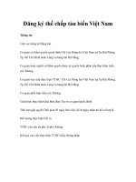 Tài liệu Đăng ký thế chấp tàu biển Việt Nam pptx