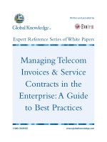 Tài liệu Managing Telecom Invoices & Service Contracts in the Enterprise:A Guide to Best Practices doc