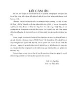 Một số biện pháp nâng cao doanh thu, tiết kiệm chi phí tại công ty TNHH tomei việt nam 