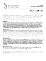 Tài liệu BỆNH SỐT THỎ docx