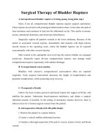 Tài liệu Surgical Therapy of Bladder Rupture pdf