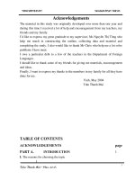 Luận văn english articles in compaison with vietnamese equivalent expressions 