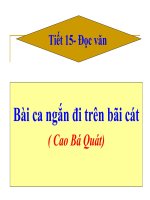 Gián án TTHUC HANH DIEN CO, THANH NGHU