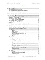 Báo cáo Thực tập tổng hợp tại Công ty Giấy Bãi Bằng