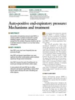 Tài liệu Giáo trình Auto-PEEP ppt