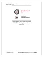 CEHv6 module 42 hacking database servers 